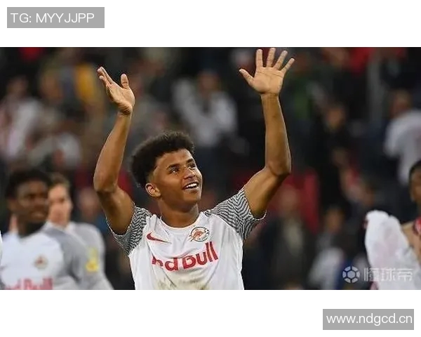 阿德耶米因非法持有武器被罚款45万欧元引发广泛关注